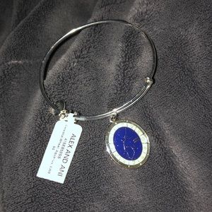 Alex and Ani - Aquarius ♒️